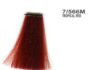 LK Lisap Creamcolor 7/566M Tropical Red 100g 