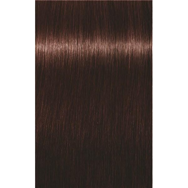 SCHWARZKOPF PROFESSIONAL IGORA ROYAL ABSOLUTES HAIR COLOR 4-05 Medium Brown Natural Gold 60mL