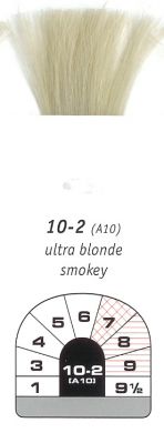 10-2 (A10)-Ultra Blonde Smokey-10-1 (C10)-Ultra Blonde Cendre-Igora Royal 60g